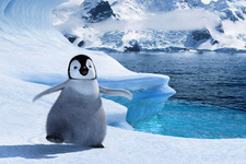 ペンギンが踊り出た！シネマカフェ11月NEWSアクセスランキングTOP5 画像