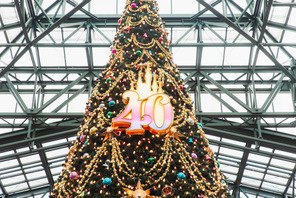 【ディズニー】圧倒的にロマンティック！約15メートル、40周年の巨大クリスマスツリーの見逃せない輝き 画像