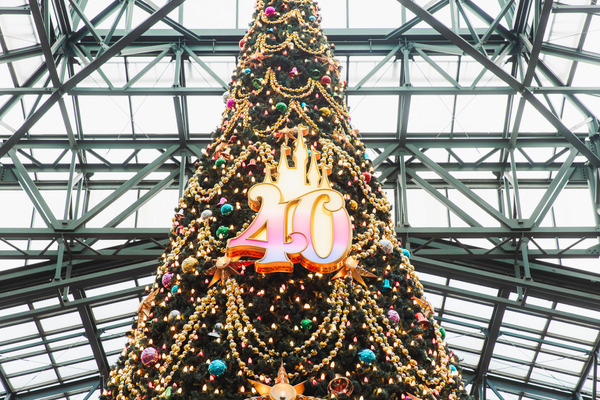 圧倒的にロマンティック！約15メートル、40周年の巨大クリスマスツリーの見逃せない輝き
