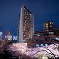 東京・赤坂の「ANAインターコンチネンタルホテル東京」に隣接するアークヒルズの桜並木
