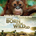 『Born To Be Wild 3D -野生に生きる-』©2010 Warner Bros. Ent. All Rights Reserved