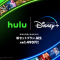 「Hulu | Disney+ セットプラン」
