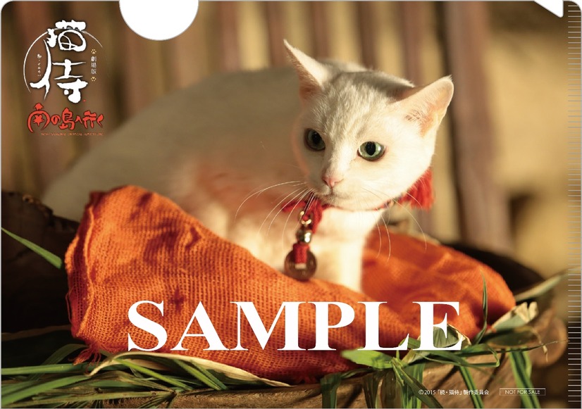 猫侍 白い美猫 玉之丞の萌えまくる初カレンダー発売決定 11枚目の写真 画像 Cinemacafe Net