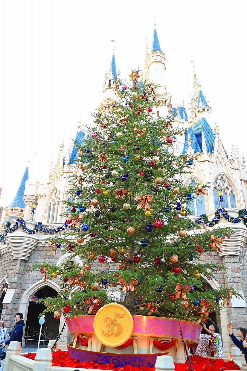 ディズニー 生木のツリーに心温まる 35周年のランドのクリスマス 15枚目の写真 画像 Cinemacafe Net