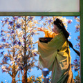英国ロイヤル・オペラ・ハウス シネマシーズン2022/23 蝶々夫人 1枚目の写真・画像