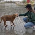 〈受付終了〉『犬と戦争　ウクライナで私が見たこと』完成披露試写会に50名様 画像