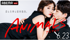 「ANIMALS‐アニマルズ‐」（C）AbemaTV, Inc.
