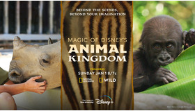 『Magic of Disney’s Animal Kingdom　ディズニー・アニマルキングダムの魔法』シーズン2© 2023 National Geographic Partners LCC.