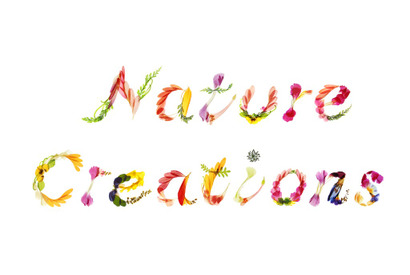 表参道・スパイラルガーデンにて「Nature Creations」開催！ 第一回目は「花」 画像