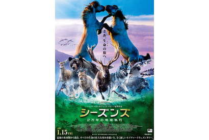 野生動物目線の壮大な旅へ！『シーズンズ　2万年の地球旅行』1月公開決定 画像