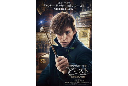 エディ・レッドメインら『ファンタビ』初日舞台挨拶に緊急登壇決定！ 画像