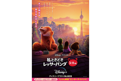 “自分を好きになる”ポジティブなメッセージ『私ときどきレッサーパンダ』日本版新ビジュアル 画像