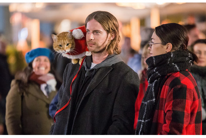 【当選者のみ入室可能】『ボブという名の猫2　幸せのギフト』シネマカフェオンライン試写室 画像