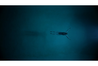 『ナイトスイム』監督が“水への恐怖”語る特別映像「恐怖と畏敬の念を抱く」 画像