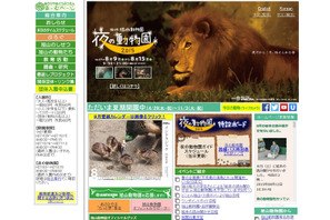 旭山、上野ほか全国6園で「夜の動物園」が開催！　ビアガーデンや音楽ライブも　 画像