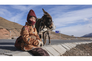 「チベットではよくあること」死者の魂と巡礼する理由とは…『巡礼の約束』監督語る 画像