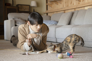 古川雄輝主演「ねこ物件」映画化決定！劇場版初公開カット＆超特報が到着 画像