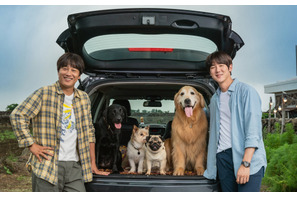 ユ・ヨンソク＆チャ・テヒョン共演、愛犬の里親探しに『マイ・ハート・パピー』1月公開 画像