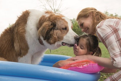 愛犬と飼い主の感動物語『僕のワンダフル・ライフ』続編秋公開！ 画像