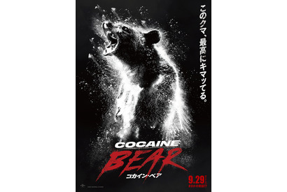 全米で大バズり『コカイン・ベア』9月29日公開　特報映像到着 画像