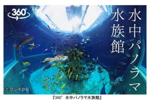 ダイバー＆花火師から見た世界を疑似体験！360度動画配信 画像