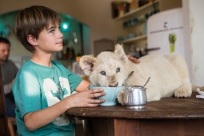 ミルクを飲んでうとうと…『ミアとホワイトライオン』癒やしの冒頭映像公開 画像