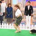 「行列のできる法律相談所」（C）NTV