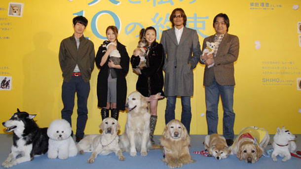 犬たちが試写会ジャック 田中麗奈は感激 トヨエツは犬語で挨拶 Cinemacafe Net