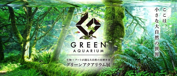 グランツリー武蔵小杉「グリーンアクアリウム展」＿(c)2017 Green Aquarium Project. All Rights Reserved.