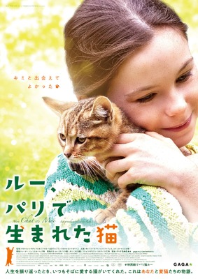 ルー、パリで生まれた猫