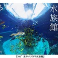 360度動画「水中パノラマ水族館」