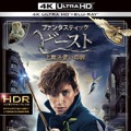 『ファンタスティック・ビーストと魔法使いの旅』4K ULTRA HD&3D&2D ブルーレイセット　(c) 2016 Warner Bros. Ent. All Rights Reserved. Harry Potter and Fantastic Beasts Publishing Rights (c) JKR.