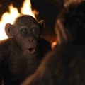 「バッド・エイプが可愛すぎ」『猿の惑星』のなごみ系“愛されキャラ”映像入手・画像