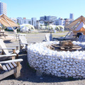 「FIRE PIT AREA」の焚き火スペース（撮影：シネマカフェ編集部 撮影協力：「WILD MAGIC -The Rainbow Farm-（ワイルドマジック　レインボーファーム）」）