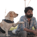 ラブラドール犬と南インドからヒマラヤへ！『チャーリー』6月公開・画像