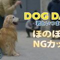 『DOG DAYS 君といつまでも』©2024 CJ ENM Co., Ltd. ALL RIGHTS RESERVED