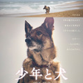 大切な人のもとへ… 高橋文哉＆西野七瀬W主演『少年と犬』特報 公開日は3月20日に・画像