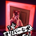 『THE オリバーな犬、(Gosh!!)このヤロウ MOVIE』© 2025「THE オリバーな犬、(Gosh!!)このヤロウ MOVIE」製作委員会