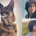 映画『少年と犬』ⓒ2025映画「少年と犬」製作委員会