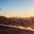 ロサンゼルスカリフォルニア州 2025年1月15日 Photo by Apu Gomes/Getty Images