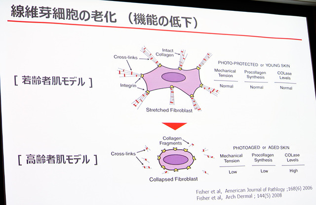 「アロエに含まれる新成分の美肌効果に関する研究結果発表」会見