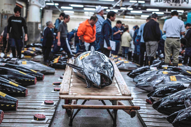 『TSUKIJI WONDERLAND』 - (C) 2016松竹