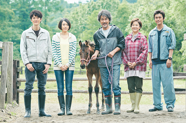 「絆～走れ奇跡の子馬～」メイン