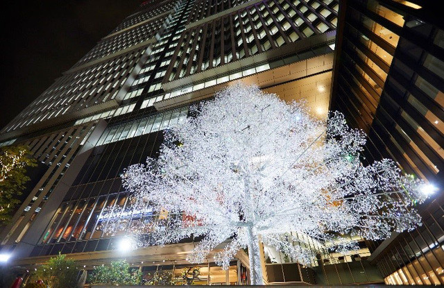 東京ガーデンテラス紀尾井町「輝きの集い2017」