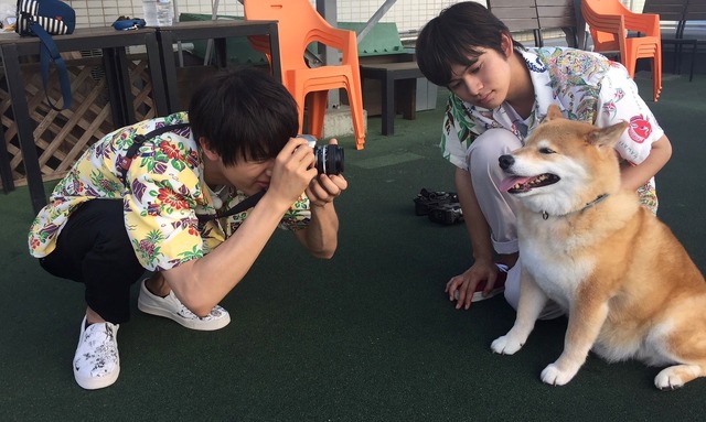 北村匠海と中川大志が湘南で犬 猫と触れ合う もふもふモフモフ 夏の拡大sp Cinemacafe Net