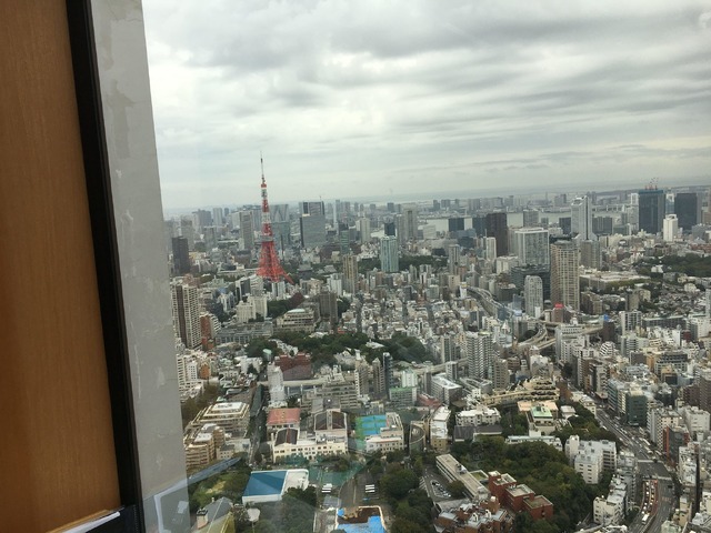 下に見える東京タワー