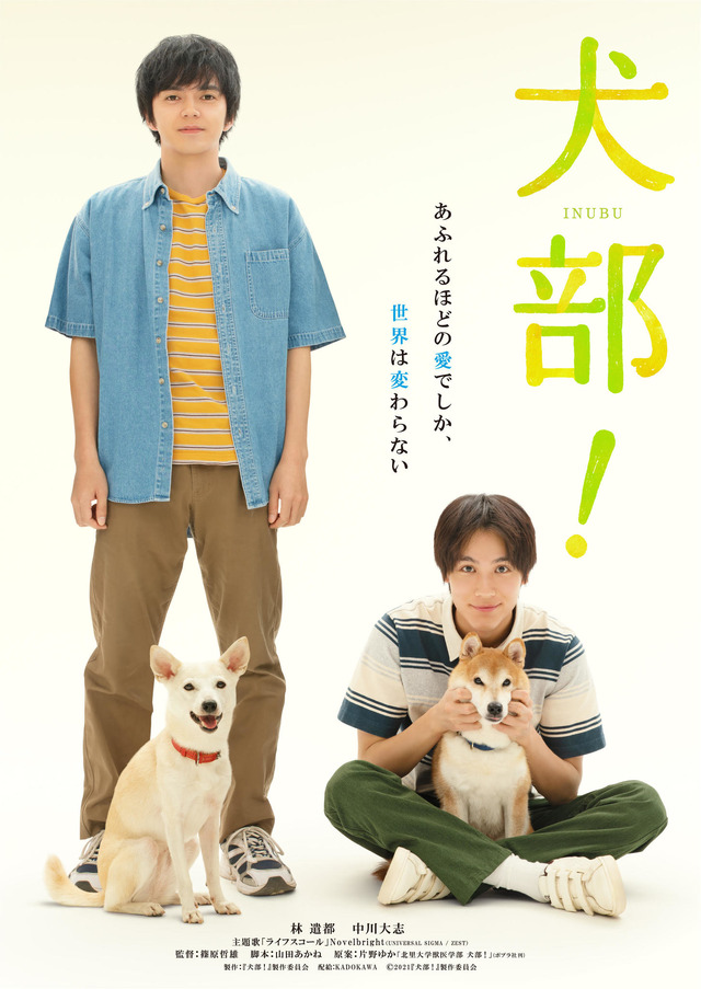 『犬部！』（C）2021『犬部！』製作委員会