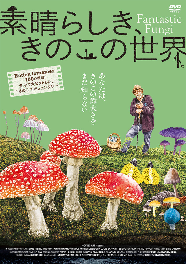 『素晴らしき、きのこの世界』（C）2018, Fantastic Fungi, LLC