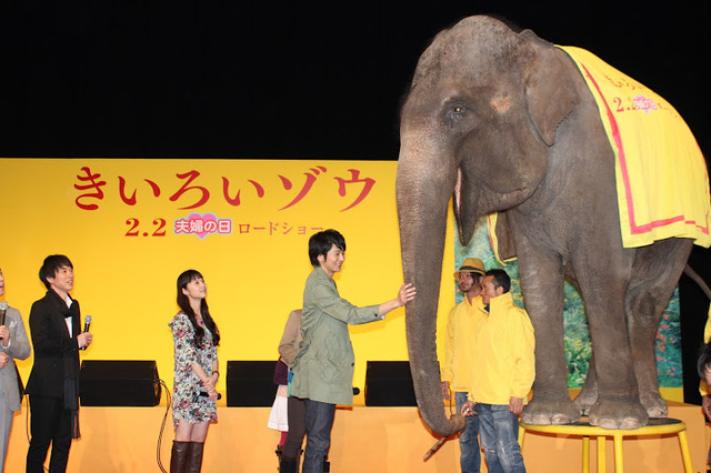 『きいろいゾウ』公開直前プレミア