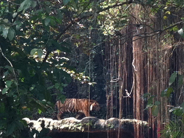 【MOVIEブログ】上映・動物園・JKT！